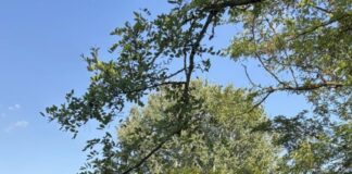 Fare, sentire e stare: l’autunno di Spazio Concari