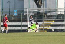 Calcio Promozione Crer – Suzzara sogna dopo la quarta vittoria di fila. Bertolani: “Ora siamo una squadra vera”
