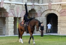 Volteggio equestre, la Cavallerizza torna a vivere