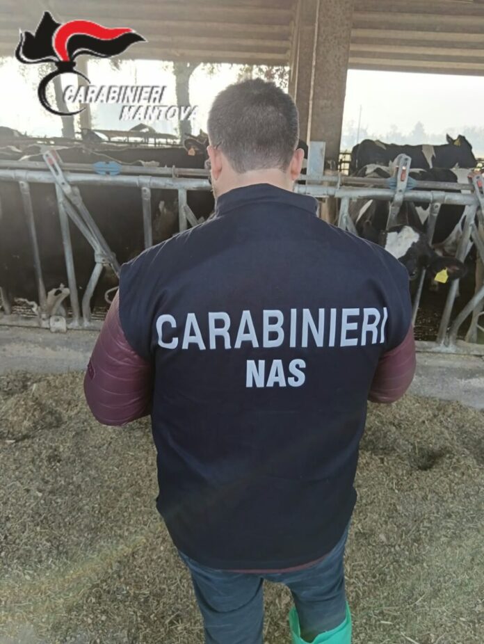 asola nas 3