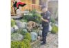 Droga tra Castel Goffredo e Calvisano, un arresto e sette denunce dopo le perquisizioni dei Carabinieri