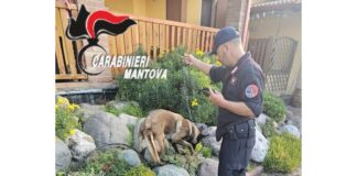 Droga tra Castel Goffredo e Calvisano, un arresto e sette denunce dopo le perquisizioni dei Carabinieri
