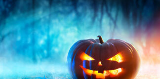 Cultura e Halloween: mostra a palazzo Ducale a Revere e laboratorio per bimbi a Villa Poma Halloween:
