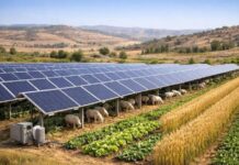 Fotovoltaico, l’opposizione contesta i nuovi impianti: “Operazione folle”