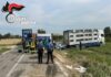 Camion carico di maiali si ribalta a San Giovanni del Dosso: morti diversi animali e altri in fuga nei campi, illeso il giovane autista
