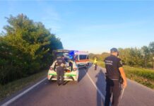 Ciclista urtato da un’auto cade e batte la testa: è grave