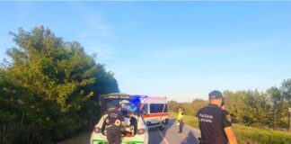 Ciclista urtato da un’auto cade e batte la testa: è grave