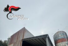 Infortunio in un’azienda agricola a Salina di Viadana: grave un 61enne caduto dal pianale di un camion