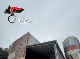 Infortunio in un’azienda agricola a Salina di Viadana: grave un 61enne caduto dal pianale di un camion