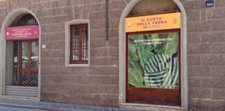 Al Mercato coperto di Broletto arriva domenica il “Pasta Day”