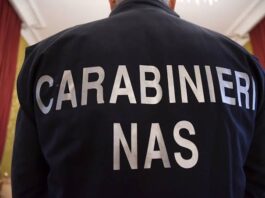 Documenti falsi al controllo del NAS: nei guai la titolare di un bar di Pegognaga e un 77enne di Curtatone