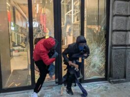 Un 14enne mantovano tra gli arrestati per i disordini a Milano