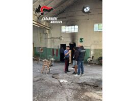 Arresto e blitz a Suzzara: scoperto covo in un capannone abbandonato