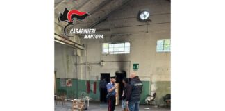 Arresto e blitz a Suzzara: scoperto covo in un capannone abbandonato