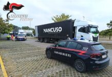 Infortunio nel parcheggio del centro commerciale a Viadana: autista cade dal camion e batte la testa